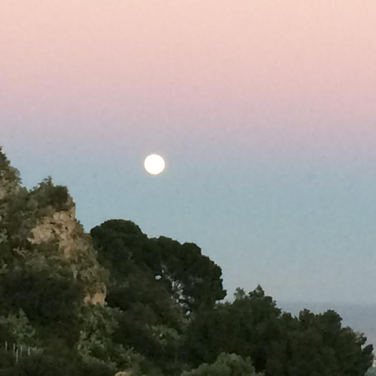 Sicilian Friends' House Ξενοδοχείο Μπαγκερία Εξωτερικό φωτογραφία